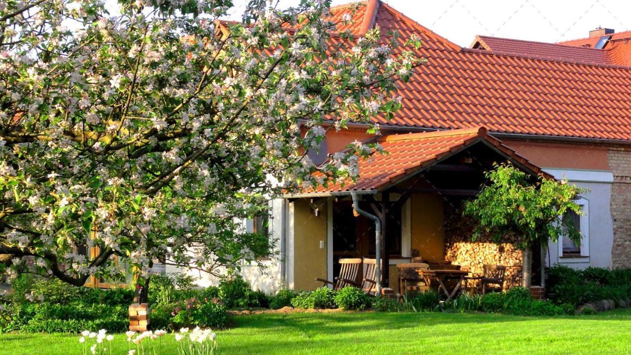 Janischs Fewo Im Spreewald, Terrasse, Grosser Garten Und Blick Inklusive Unterspreewald Zewnętrze zdjęcie