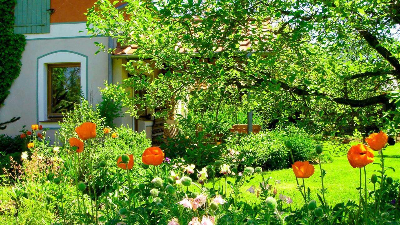Janischs Fewo Im Spreewald, Terrasse, Grosser Garten Und Blick Inklusive Unterspreewald Zewnętrze zdjęcie