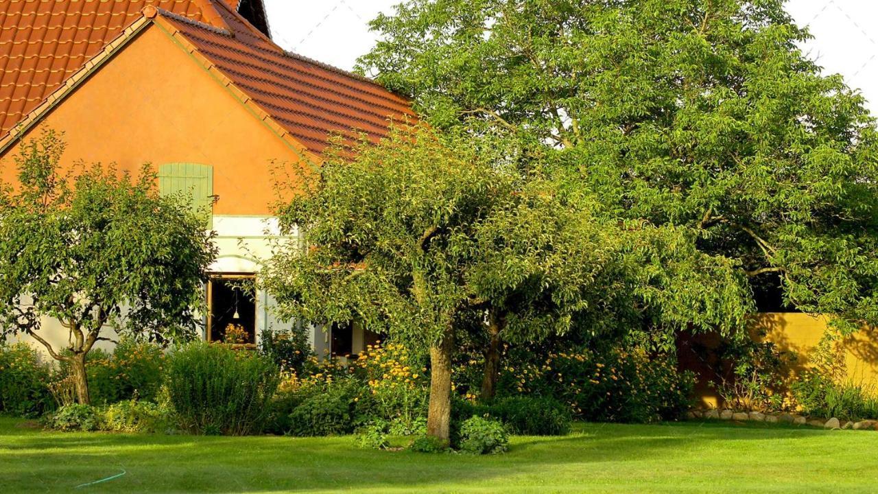 Janischs Fewo Im Spreewald, Terrasse, Grosser Garten Und Blick Inklusive Unterspreewald Zewnętrze zdjęcie