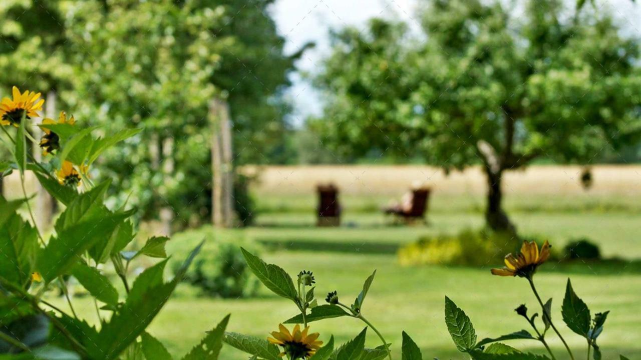 Janischs Fewo Im Spreewald, Terrasse, Grosser Garten Und Blick Inklusive Unterspreewald Zewnętrze zdjęcie