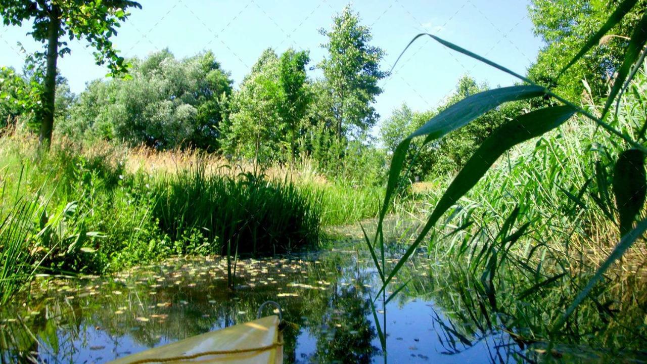 Janischs Fewo Im Spreewald, Terrasse, Grosser Garten Und Blick Inklusive Unterspreewald Zewnętrze zdjęcie