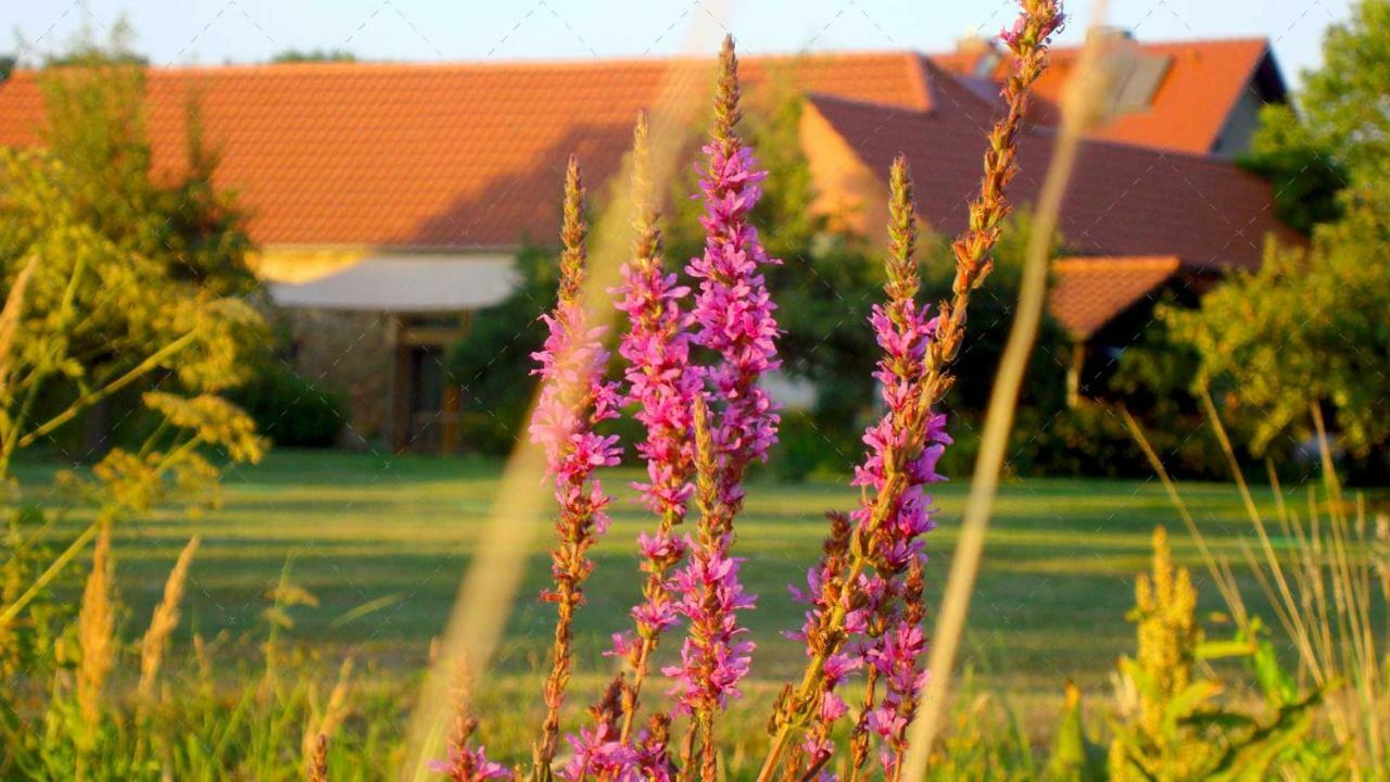 Janischs Fewo Im Spreewald, Terrasse, Grosser Garten Und Blick Inklusive Unterspreewald Zewnętrze zdjęcie