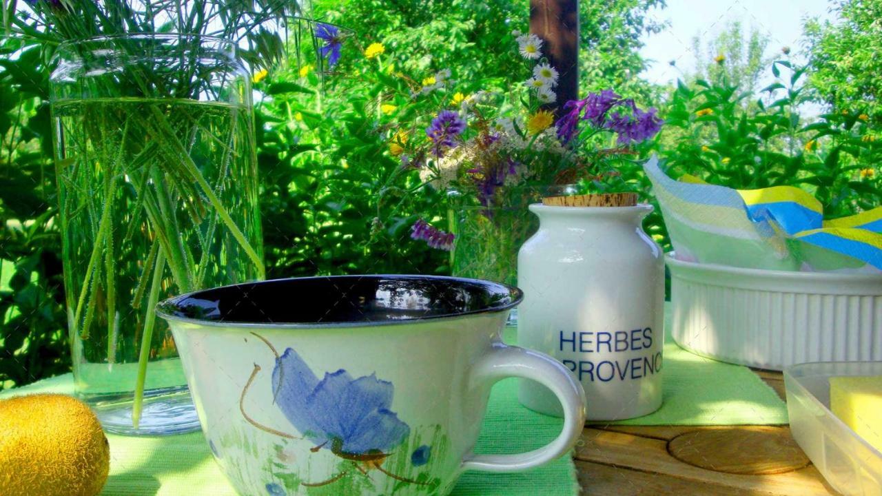 Janischs Fewo Im Spreewald, Terrasse, Grosser Garten Und Blick Inklusive Unterspreewald Zewnętrze zdjęcie